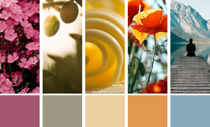 Color Trend Predictions for 2022
