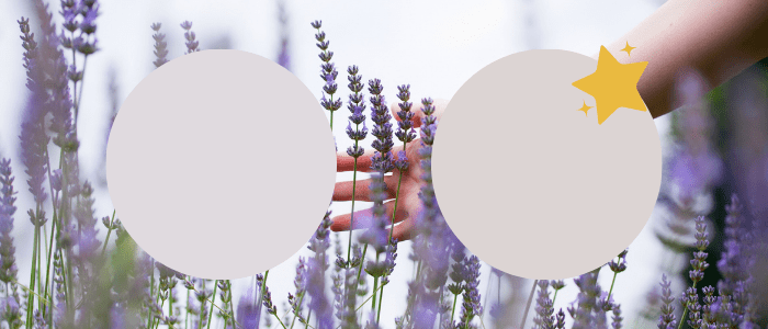 Hint of Violet is preferred over Lite Lavender